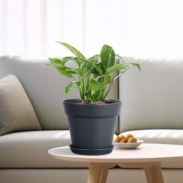 Blumentopf Set 8er Packs 10cm mit Untersetzer Schwarz Hydrokultur Topf Bild 5