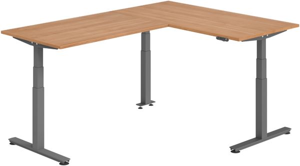 bümö Eckschreibtisch elektrisch höhenverstellbar L-Form: 160x220 cm in Nussbaum, Gestell graphit - Stehschreibtisch mit Memory-Steuerung, elektrischer XXL Schreibtisch für die Ecke, XDSMW-1614-N-G