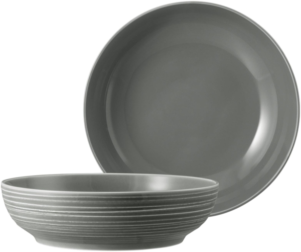 Seltmann Weiden Terra Foodbowl ø 25,5 cm perlgrau 2er Set