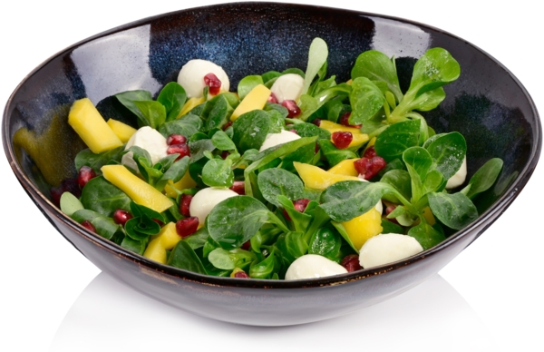 SÄNGER Salatschale Tokio