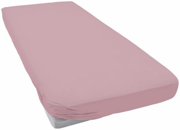 ESTELLA Spannbetttuch Feinjersey | Orchdiee | 150x200 cm | passend für Matratzen 140-160 cm (Breite) x 200 cm (Länge) | trocknerfest und bügelfrei | 100% Baumwolle