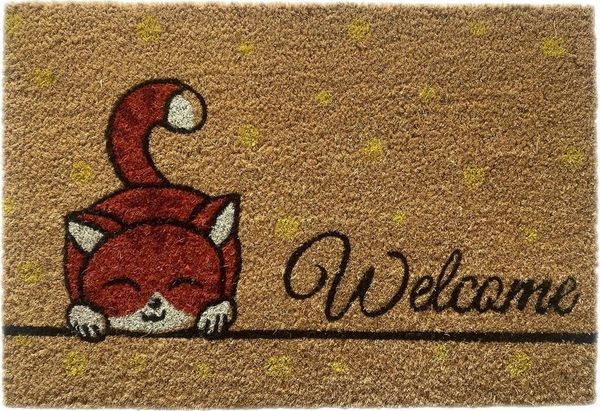 Carpetia Fußmatte Schuhabtreter aus Kokos, umweltfreundlich, Kätzchen orange, Rechteckig