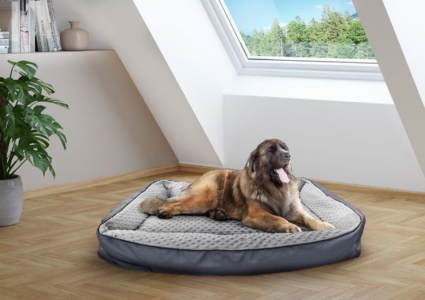 Hundebett orthopädisches Tierbett für jede Hundegröße waschbar V-30.31110x80