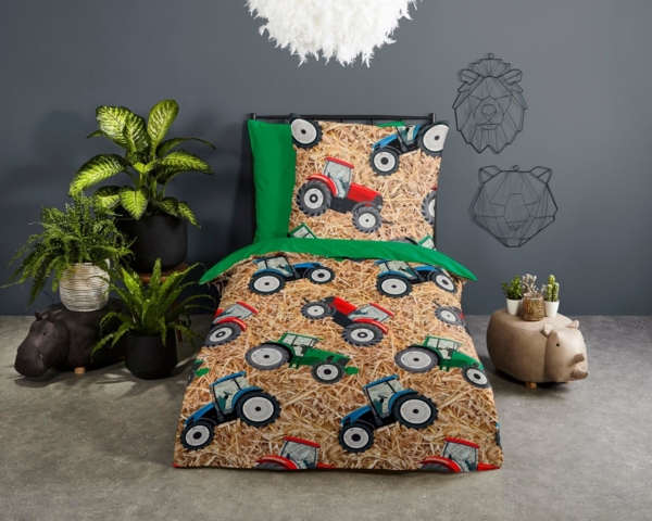 Good Morning Renforcé Bettwäsche 135 X 200 cm + 1 x 80 X 80 cm Cas bunt Bild 5