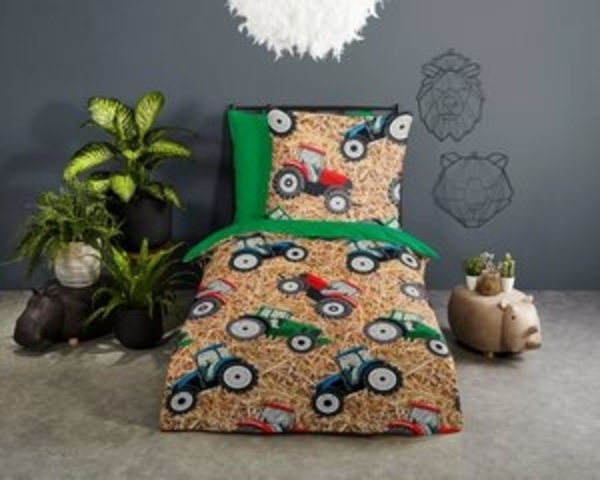 Good Morning Renforcé Bettwäsche 135 X 200 cm + 1 x 80 X 80 cm Cas bunt Bild 6