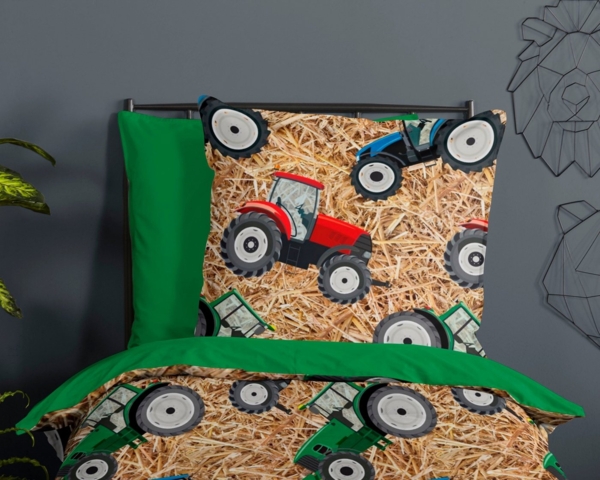 Good Morning Renforcé Bettwäsche 135 X 200 cm + 1 x 80 X 80 cm Cas bunt Bild 2