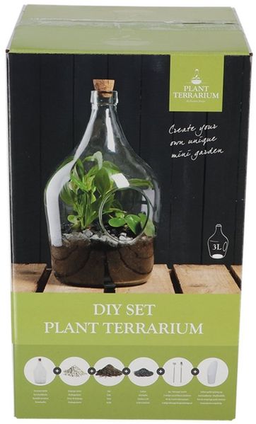 esschert design Pflanzschale AGG92, Pflanzliches Terrarium 3 Liter DIY Pflanzgefäß zum selber machen