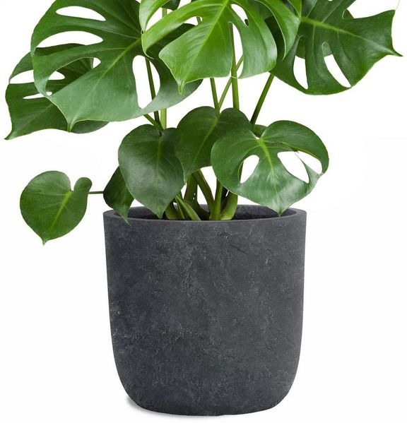 Pflanzwerk® Pflanzkübel CUP Premium Fiberglas Blumenkübel Frostbeständig mit Lotus-Effekt, Lotus-Effekt - Handgefertigt - Rund - Frostbeständig