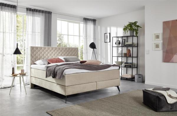 Boxspringbett Bett La Maison in verschiedenen Farben beige-Metallfuß grafit lackiert-160 x 200 cm