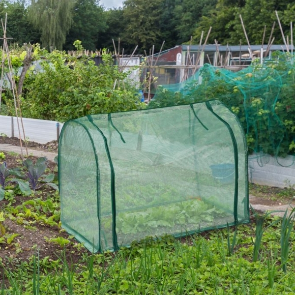 Foliengewächshaus mit Tür Bild 2