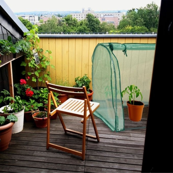 Foliengewächshaus mit Tür Bild 3