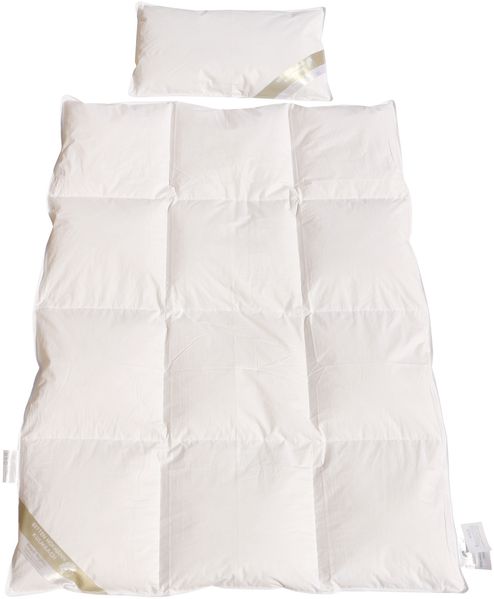 Betten Hofmann Franken Ganzjahres-Set Kinder Baby 100x135 + 40x60 100% Daunen