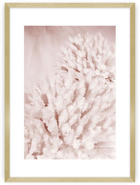 Dekoria Poster Pastel Pink II
