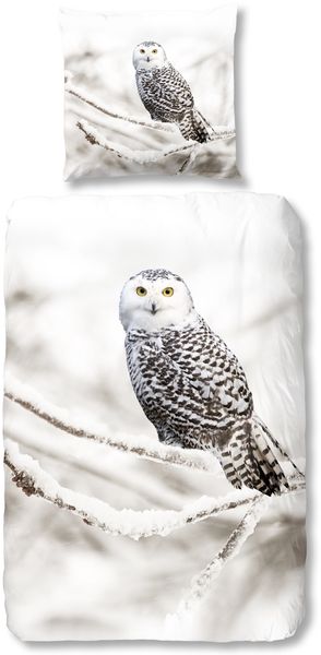 Good Morning Bettwäsche 6221 Snowy Owl White Flanell 135 x 200 + 80 x 80 cm