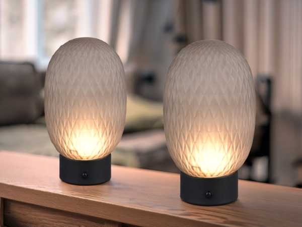 2er SET kleine Akku Tischleuchten mit Rauchglas Schirm, Höhe 20,5cm