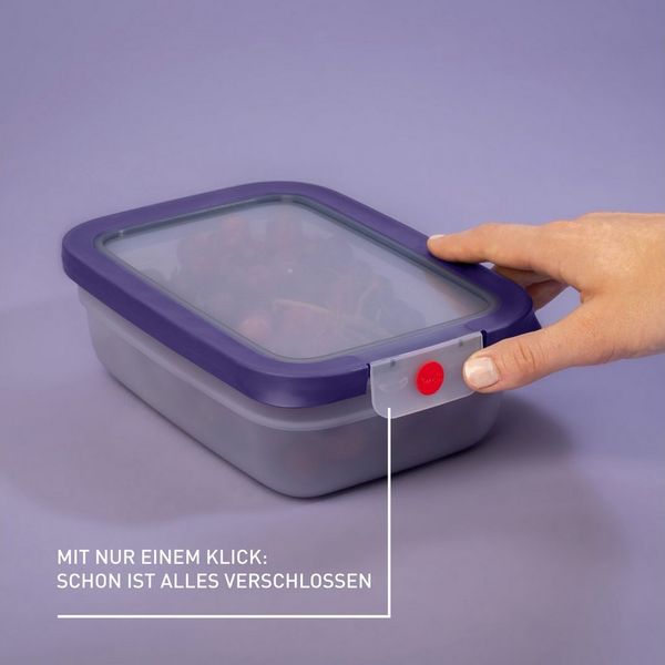 Emsa Frischhaltedose oneClick, Polyprophylen (PP), (1-tlg), verschlossen mit nur 1 x Klick, 100% dicht, made in Germany