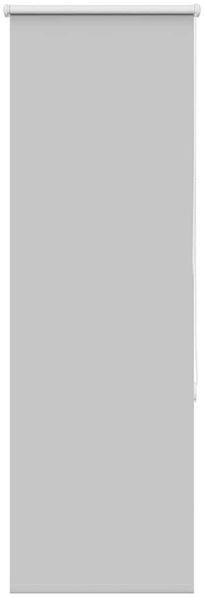 vidaXL Verdunkelungsrollo Hellgrau 60x150 cm Stoffbreite 55,7 cm 4011380