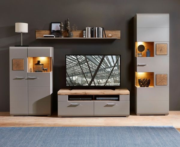 Wohnwand Wohnzimmer-Set 2 FUN PLUS II 4 tlg. Vitrine Standvitrine TV-Unterteil Wandboard grau Hirnholz LED-Beleuchtung