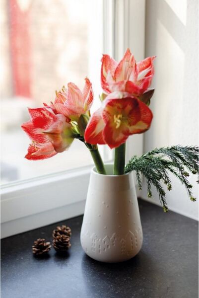 Räder Poesie Vase Winterstadt Ø 14,2 cm H 20,5 cm
