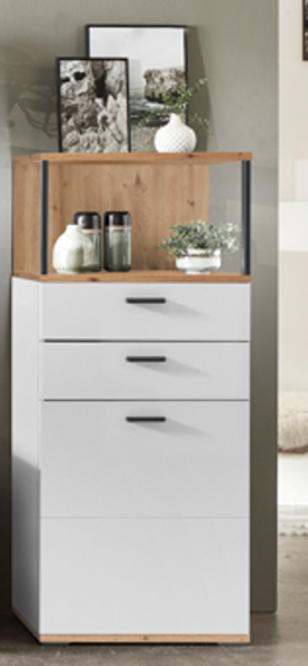 Ideal Basset Vitrine Type 01