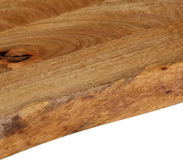 vidaXL Tischplatte mit Baumkante 160x40x2,5 cm Massivholz Mango 370448 Bild 5