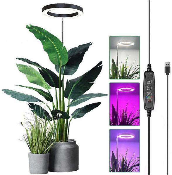 Jibenhome Pflanzenlampe LED Vollspektrum Pflanzenlicht für Zimmerpflanzen, Höhenverstellbares, mit Zeitschaltuhr 3/9/12 Std, USB, 3 Lichter Modi und 10 Helligkeit