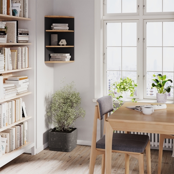 Eckregal Ecki Anthrazit/Goldkraft Eiche 30 x 60 cm Vicco Bild 2