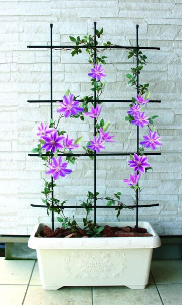 TrendLine Rankgitter 120 cm