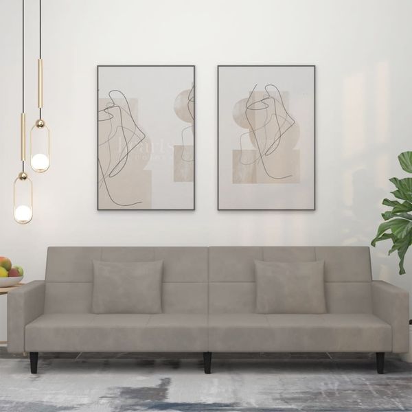 vidaXL Schlafsofa 2-Sitzer mit 2 Kissen Hellgrau Samt 375816