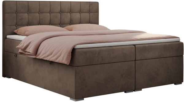 Boxspringbett, Doppelbett, Polsterbett mit Kopfstütze - CARMEN - 200x200cm - Braun Velours - H3 Bild 3