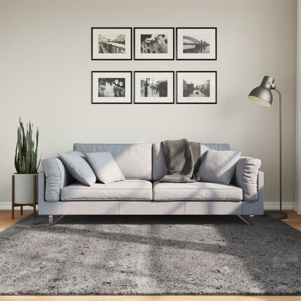 vidaXL Teppich HUARTE Kurzflor Weich und Waschbar Anthrazit 200x200 cm 375004