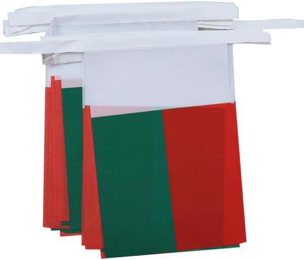 AZ FLAG - Fahnenkette Madagaskar 6 Meter Mit 20 Flaggen - 21x14 cm - Madagassisch Girlande Flaggenkette 14x21 Cm