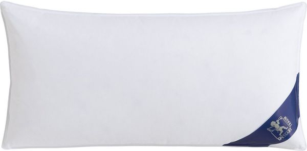 SPESSARTTRAUM Gänsefederkopfkissen Premium, Kopfkissen 1-tlg. oder 2-tlg. 40x80 oder 80x80 cm, Füllung: 70% Gänsefedern, 30% Gänsedaunen, Bezug: 100% Baumwolle, hergestellt in Deutschland, allergikerfreundlich, im Set günstiger