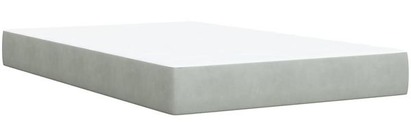 vidaXL Boxspringbett mit Matratze Hellgrau 120x200 cm Samt 3287722 Bild 7