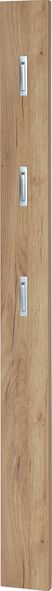 Garderobenpaneel >M-381< (BxHxT: 15x170x3 cm) in braun - 15x170x3cm (BxHxT)