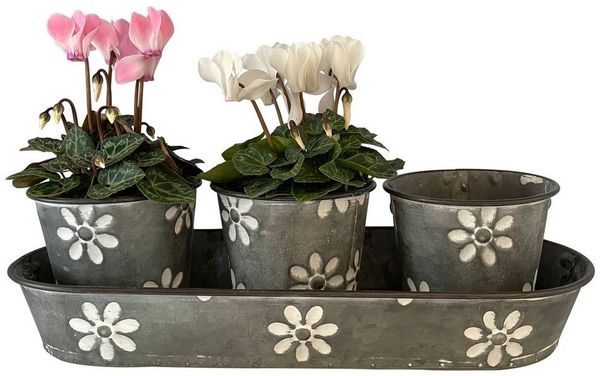 Online-Fuchs Blumentopf 3er Set süße Blumentöpfe auf Tablett, Kräutertopf Pflanzkasten P49, mit Blumen verziert Maße ca. 35 x 14 x 5 Durchmesser 10 cm 9 cm hoch.