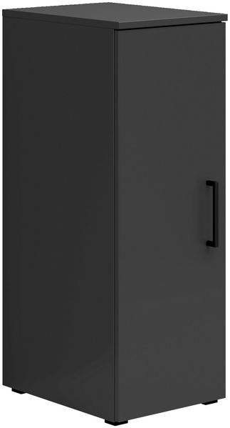 Carryhome 'MULTISTAURAUM' Mehrzweckschrank, Holznachbildung Graphit, 30 x 83 x 40 cm, 1 Drehtür