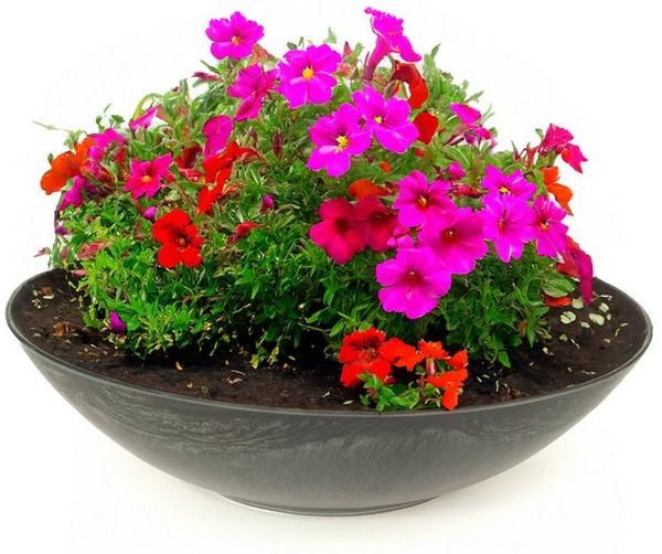 matches21 HOME & HOBBY Blumentopf Pflanzschale für draussen Dekoschale rund schwarz marmoriert 25 cm (1 St), Blumen-Schale als wetterfeste Friedhof-Schale Grab-Schmuck Grabschale