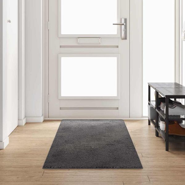 vidaXL Teppichläufer Grau 80 x 300 cm 100% Polypropylen Tuft 42011391