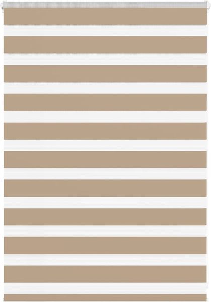 vidaXL Doppelrollo Sandbraun 100x100 cm Stoffbreite 95,9 cm Polyester 4014521