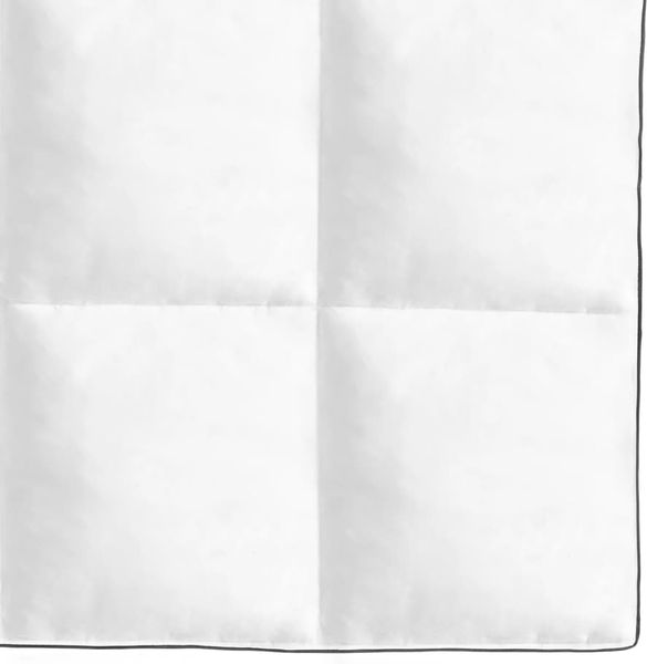 vidaXL Winter-Daunendecke 2 Stk. 150x200 cm 132888 Bild 3