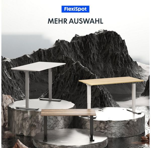 FLEXISPOT Schreibtisch Elektrisch Höhenverstellbarer Schreibtisch EC5 LITE mit Dualmotor (25MM einteiliger Tischplatte & 3-fach Teleskop, 4 Speicherhöhen & Antikollisionssystem), 120x80/140x80/160x80/180x80 Bild 3
