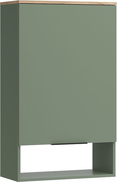 Hängeschrank Wido Grün 60 x 100 cm mit Tür Vicco