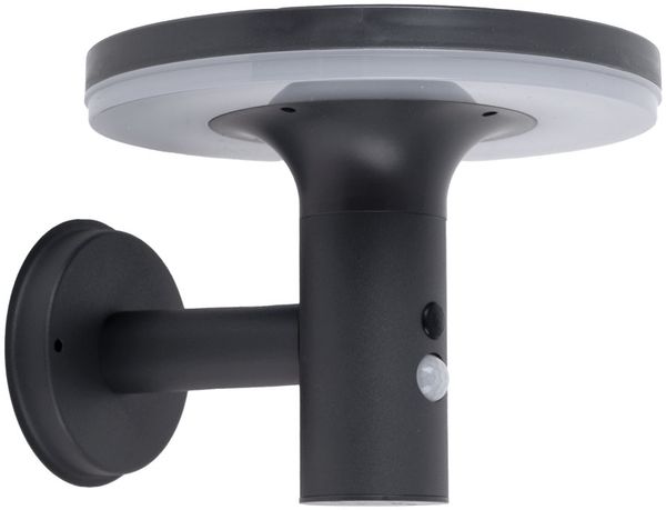 LED Solar Wandleuchte anthrazit, Bewegungsmelder, H 21 cm