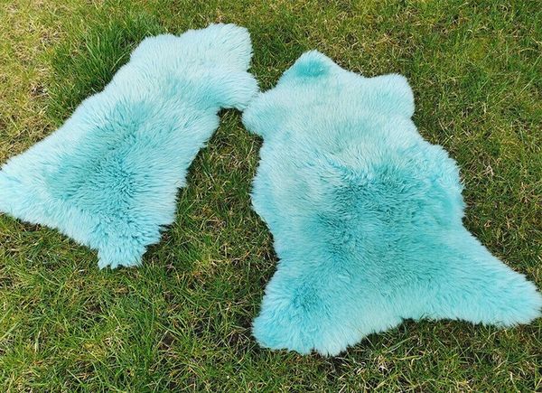 Provellus Fellteppich Top Öko Lammfell Schaffell Felle Türkis Turkis Hellblau Neu L-XL, 80cm - 100cm