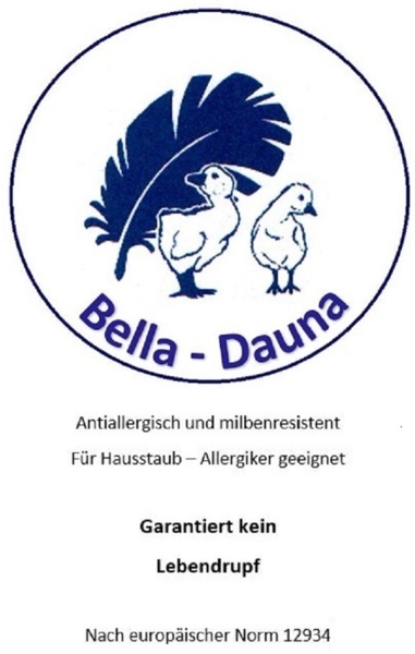 Betten Hofmann Bellalux leichte Kassetten Daunendecke Ganzjahresdecke 6x8 135x200 100% Daunen Bild 3