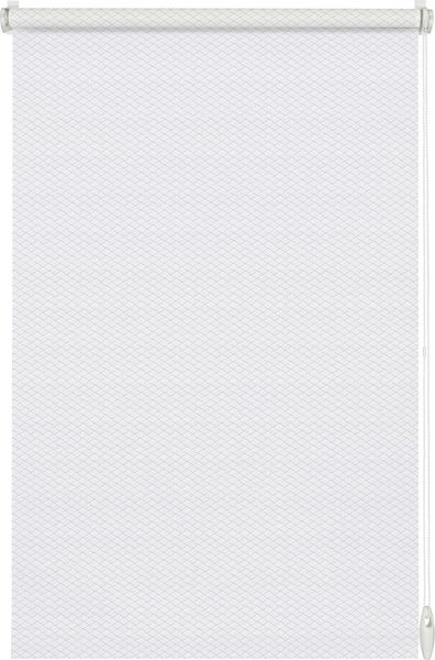 Gardinia EasyFix Rollo weiß 60 x 160 cm Shaun