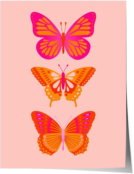 Schmetterlinge Poster · 3 Butterfly Illustrationen · Ästhetische Wandkunst · Moderne Farben Pink Orange · Minimalistisches Design · Print ohne Rahmen - 50x70 cm