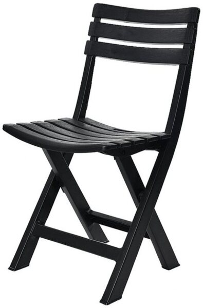 Progarden Klappstuhl Schwarz (1 St), Campingstuhl, Leicht, Kunststoff, Platzsparend Bild 3