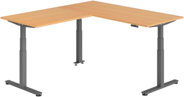 bümö Eckschreibtisch elektrisch höhenverstellbar L-Form: 180 x 200 cm in Buche, Gestell graphit - Stehschreibtisch mit Memory-Steuerung, elektrischer XXL Schreibtisch für die Ecke, XDSMW-1912-6-G